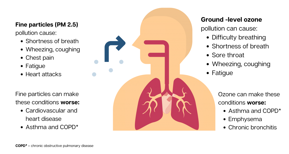 Air Pollution | DHHS Appletree