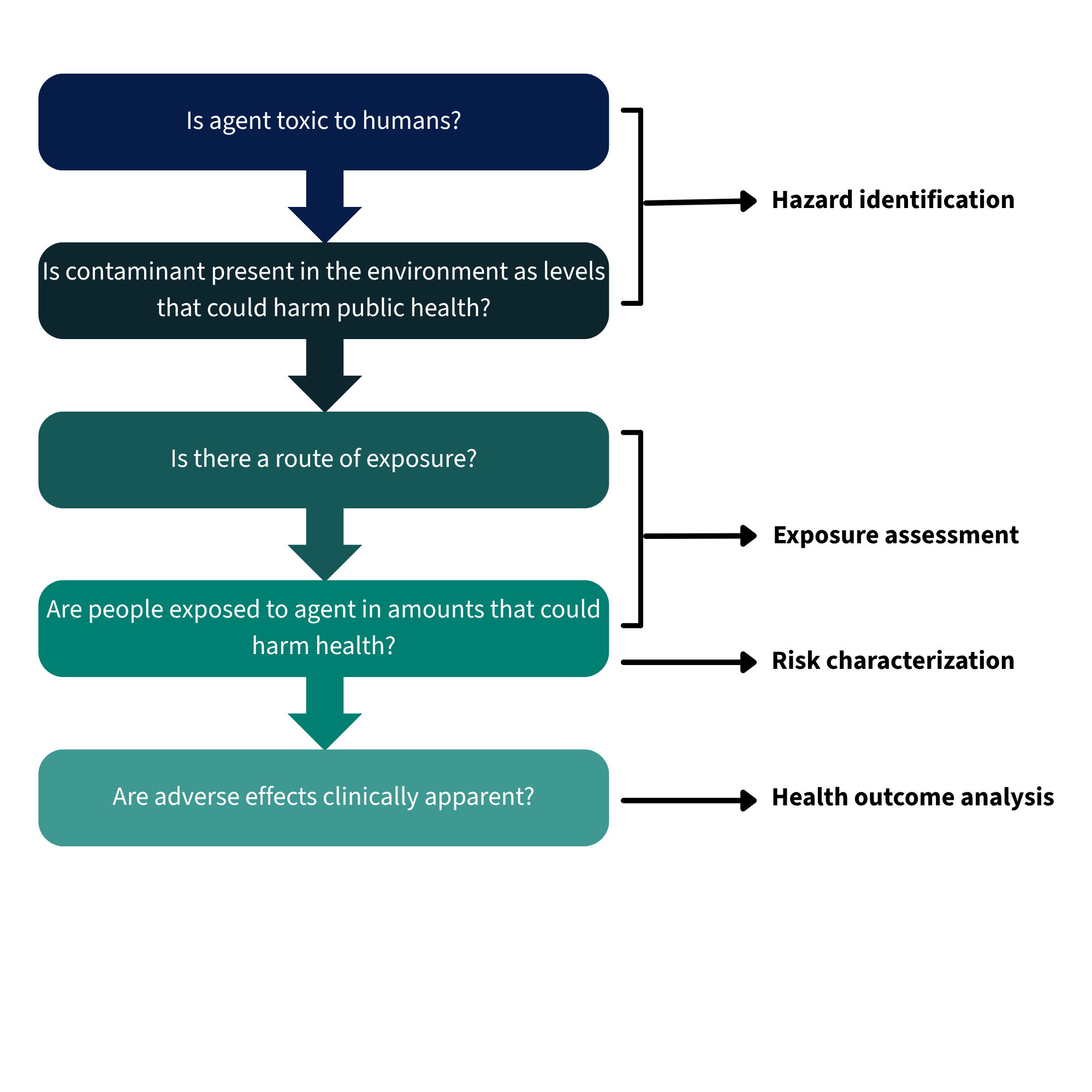 A flowchart describing questions that need to be answered. Is agent toxic to humans? Is contaminant present in the environment at levels that could harm public health? Is there a route of exposure? Are people exposed to agent in amounts that could harm health? Are adverse effects clinically apparent?